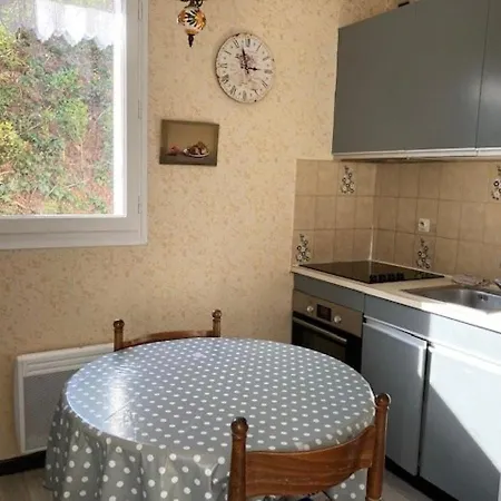 Apartamento 2 Couchages Avec Balcon, Wi-fi Et Proche Thermes à Amélie-les-bains - Fr-1-703-9